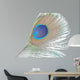 Green Peacock Feathers