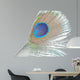 Green Peacock Feathers