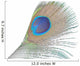 Green Peacock Feathers