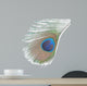 Green Peacock Feathers
