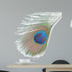 Green Peacock Feathers