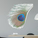 Green Peacock Feathers
