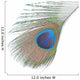 Green Peacock Feathers