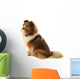 Shetland Sheepdog Wall Decal