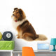 Shetland Sheepdog Wall Decal