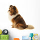 Shetland Sheepdog Wall Decal