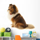 Shetland Sheepdog Wall Decal