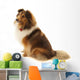 Shetland Sheepdog Wall Decal