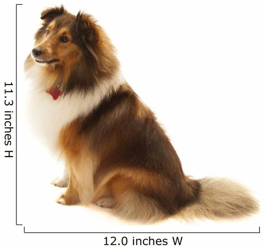 Shetland Sheepdog Wall Decal