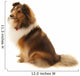 Shetland Sheepdog Wall Decal