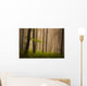 Foggy mystic forest during fall Wall Mural