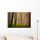 Foggy mystic forest during fall Wall Mural
