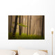 Foggy mystic forest during fall Wall Mural