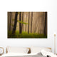 Foggy mystic forest during fall Wall Mural