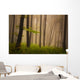 Foggy mystic forest during fall Wall Mural