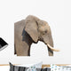 Elephant White