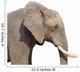 Elephant White