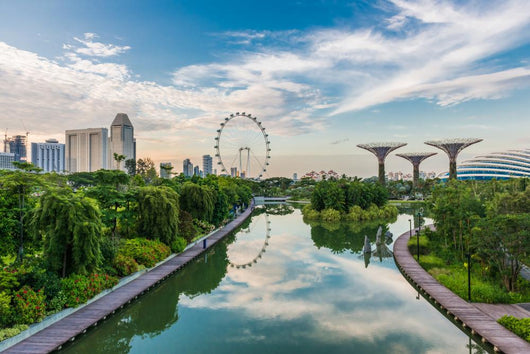 Singapore Flyer Wall Decal