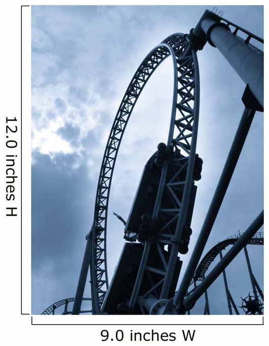 Rollercoaster Wall Mural