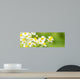 Chamomile Blossoms as Banner