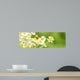 Chamomile Blossoms as Banner
