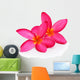 Tropical flowers frangipani (plumeria) isolated on white backgro Wall Decal