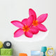 Tropical flowers frangipani (plumeria) isolated on white backgro Wall Decal