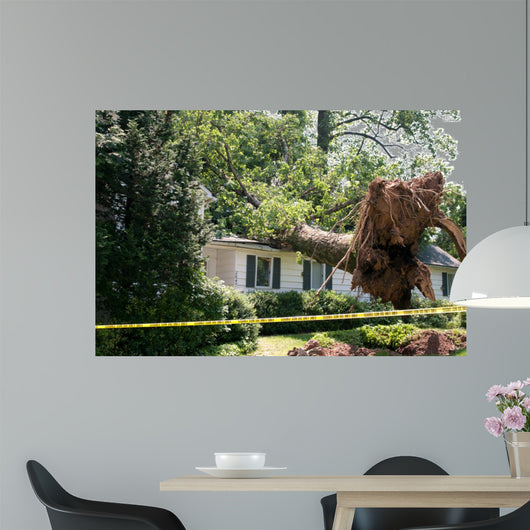 Uprooted Tree