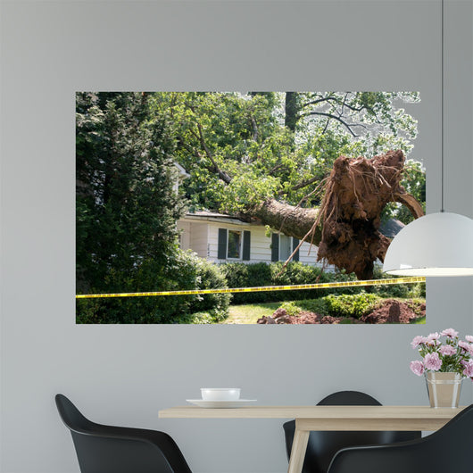 Uprooted Tree