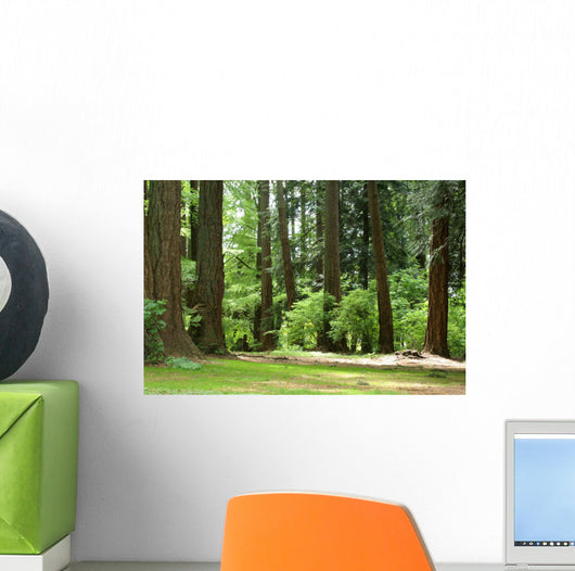 forest Wall Mural