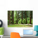 forest Wall Mural
