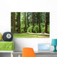 forest Wall Mural