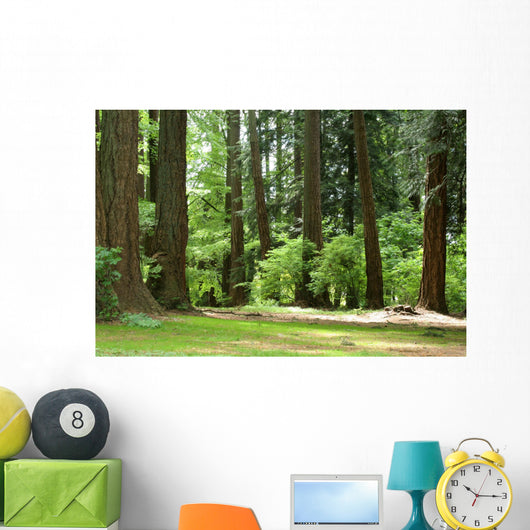 forest Wall Mural