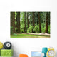 forest Wall Mural