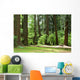 forest Wall Mural