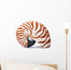 Nautilus Shell Wall Decal