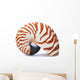 Nautilus Shell Wall Decal