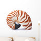 Nautilus Shell Wall Decal