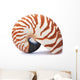 Nautilus Shell Wall Decal