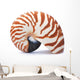 Nautilus Shell Wall Decal