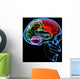 Human Brain Wall Mural