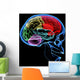 Human Brain Wall Mural