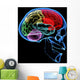 Human Brain Wall Mural