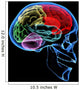 Human Brain Wall Mural