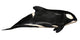 Illustration Orca White Wall Mural