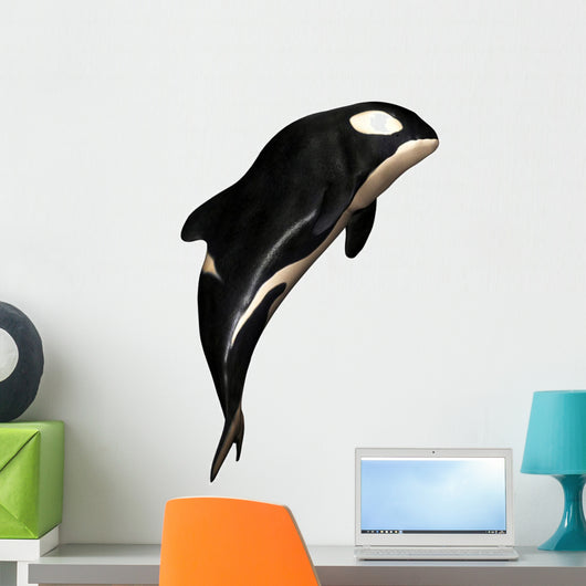 N Orca White
