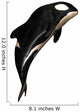 N Orca White