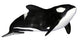 Illustration Orca White Wall Mural