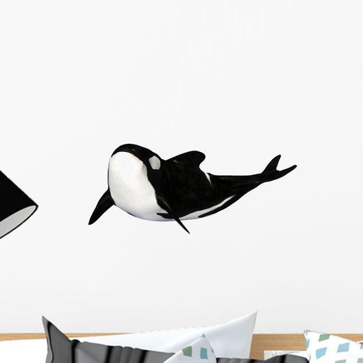 Illustration Orca White Wall Mural