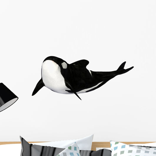 Illustration Orca White Wall Mural